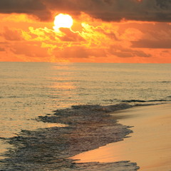 Seychelles Paradise