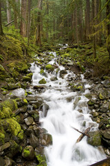 Washington Waterfall