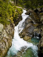 Obraz premium Aerial view on the mountain brook