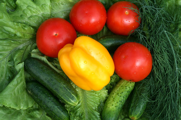 Fresh Vegetables