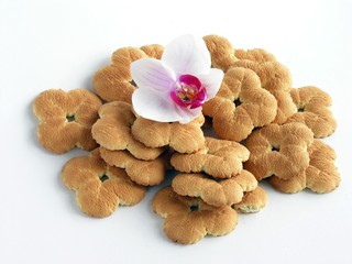 crisp cakes and orchid flower