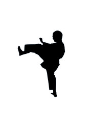 Fototapeta na wymiar Karate Vector Sport 