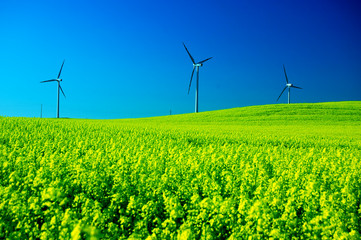 Wind turbines.