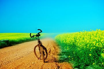 Fototapeta premium Bicycle trip at summer