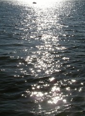 Evening river