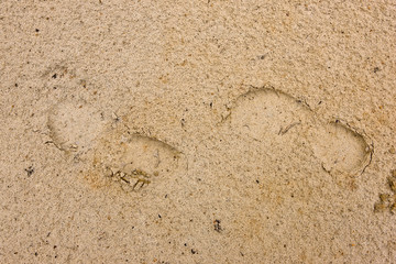 Footprints going over a sand