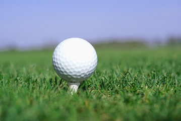 Golf ball in tall green grass