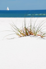 Sand Dune, Beach and Sail Boat