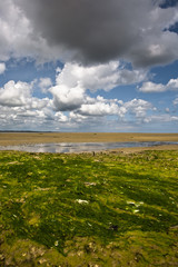 marais des veys 01