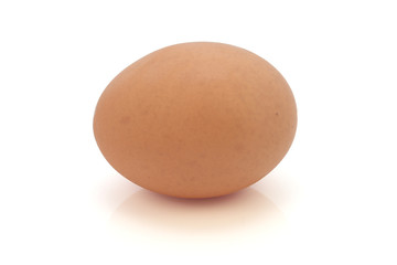 Single Hen's Egg