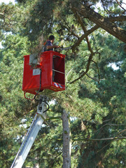 woodcutter with chain saw in elevator