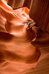 Photo sur Plexiglas Canyon Abstact shapes of Antelope Canyon, Arizona, USA