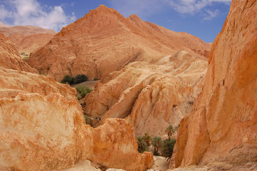 Mountainous oasis in Tunisia