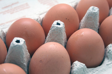 Braune Eier