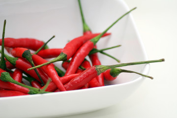 Chilischoten