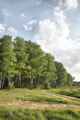 Obraz premium Rural road