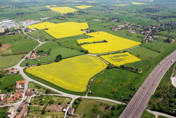 Vue a&eacute;rienne de champs de colza, taches jaune dans la campagne en &eacute;t&eacute;