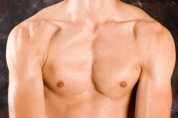 Fototapeta premium Torso