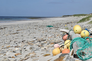 DRIFTWOOD