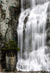 Fototapeta premium Wasserfall