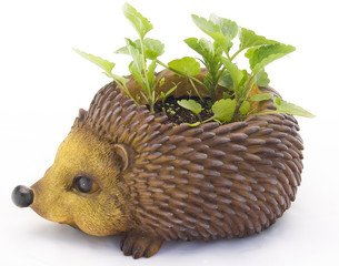 The decorative clay hedgehog - a support for colors in a garden