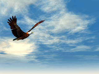 Eagle