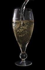 Champagne