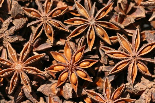 anis,anise,badiane