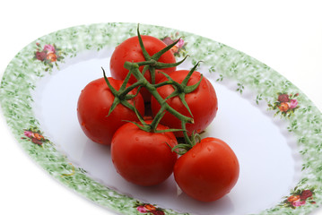 Tomato isolated at dish