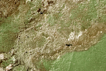 Texture of an old wall green