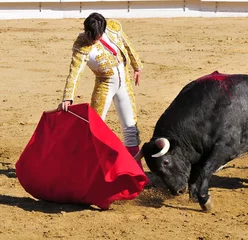 Peel and stick wall murals Bullfighting Matador & Bull
