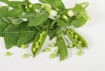 Fresh green peas