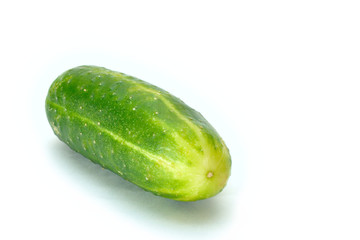Isolated cucumber