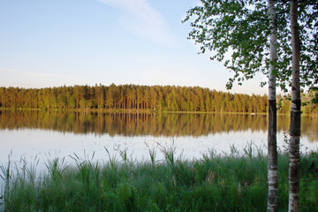 Evening lake and forest