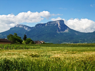 Naklejka premium Champs et montagne en Savoie