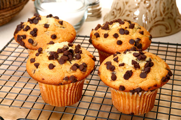Chocolate Chip Muffins