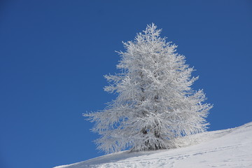 givre