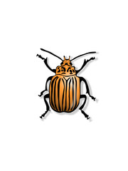 The bug