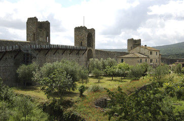 Fototapeta premium Wall Castle