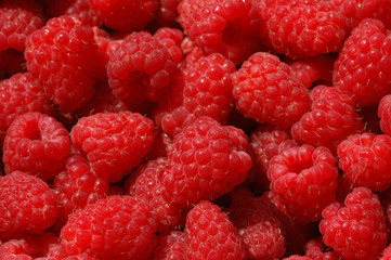 Himbeeren