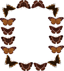 butterfly frame