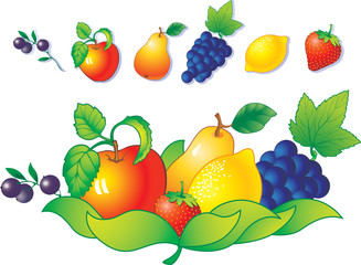 Fruit and berry Vector