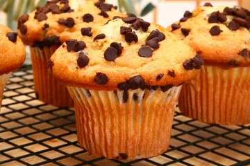 Chocolate Chip Muffins