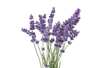 Deurstickers lavender © matka_Wariatka