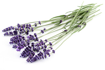 Naklejka premium lavender
