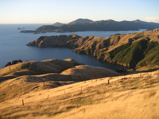 Marlborough Sounds ~ South Island nz