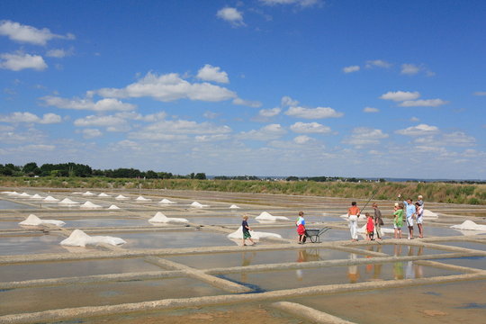 marais salant de Guerande