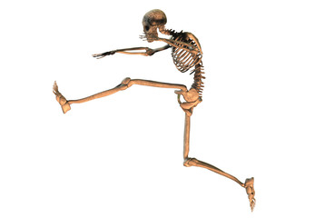 Squelette qui saute