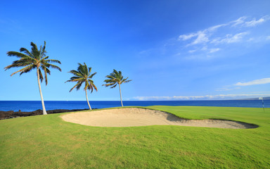 Hawaii Golf Course - obrazy, fototapety, plakaty