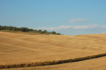 Colline toscane